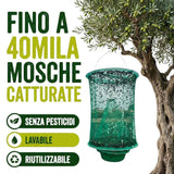 Trappola per Mosche, Mosca olearia, Vespe e Calabroni - Senza pesticidi e Riutilizzabile | FlyCapture™